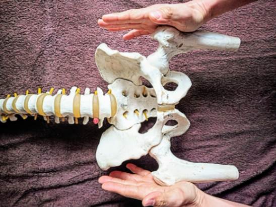 平野区の整骨・整体院の手技療法で神経調整