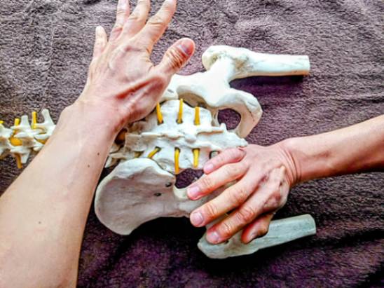 腰痛改善効果のある大阪地下鉄・谷町線「喜連瓜破」駅近くの整体院